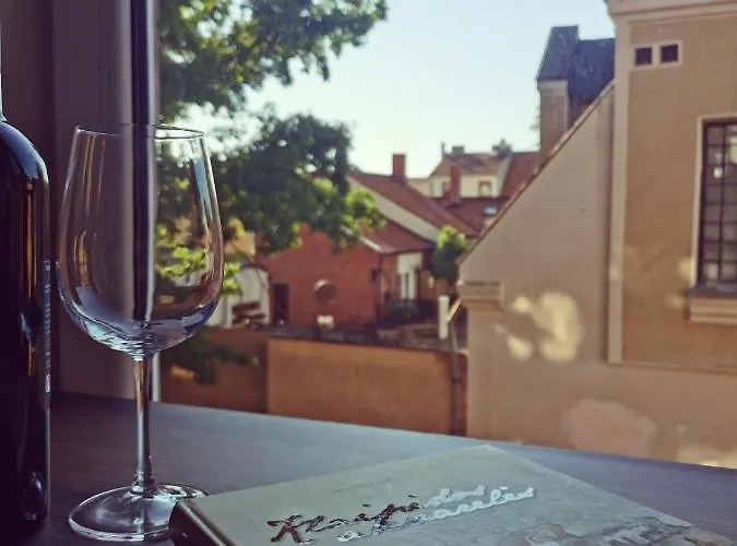 公寓 Cosy Old Town 克莱佩达