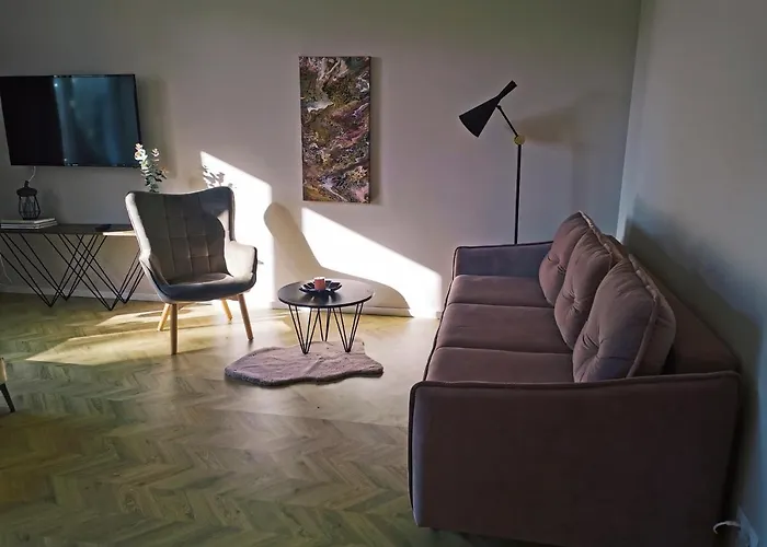 Cosy Old Town * 克莱佩达