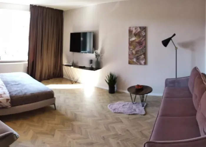 公寓 Cosy Old Town 克莱佩达