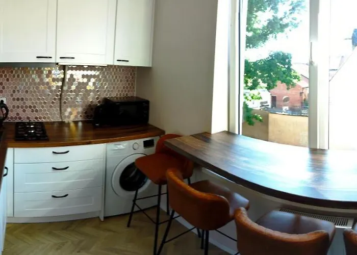 公寓 Cosy Old Town 克莱佩达